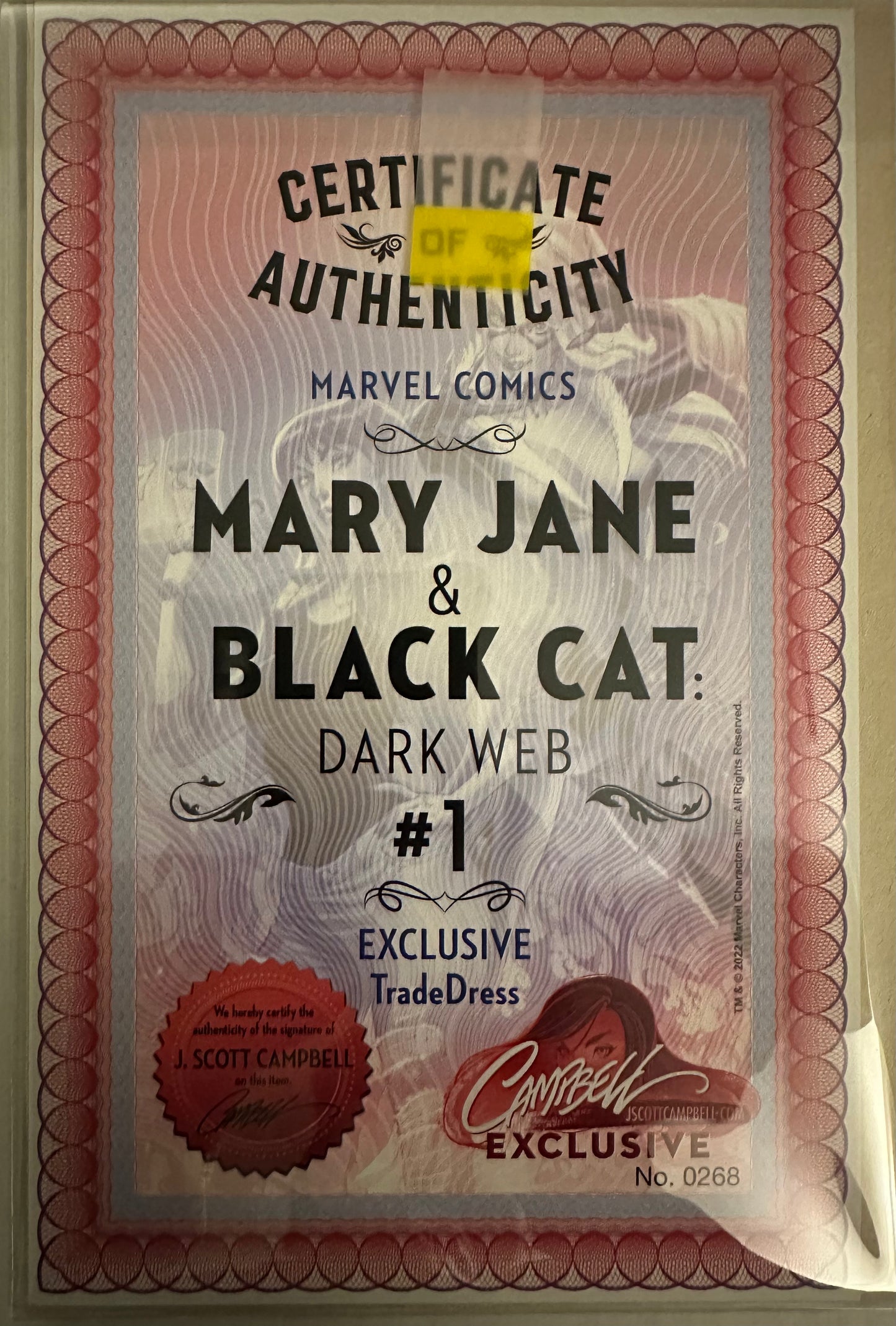 Mary Jane & Black Cat: Dark Web #1 - Signed by J Scott Campbell