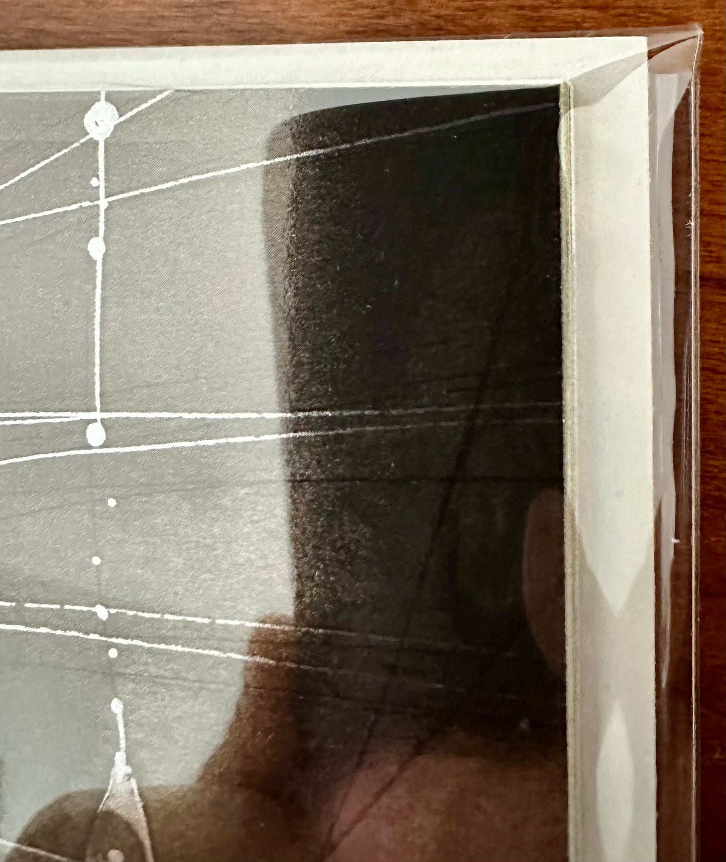 Bug Wars #1 - Peach Momoko Foil Variant - LTD 500